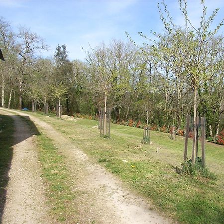 Studio Aux Eyzies Au Coeur De La Vallee De L'Homme Les Eyzies 外观 照片