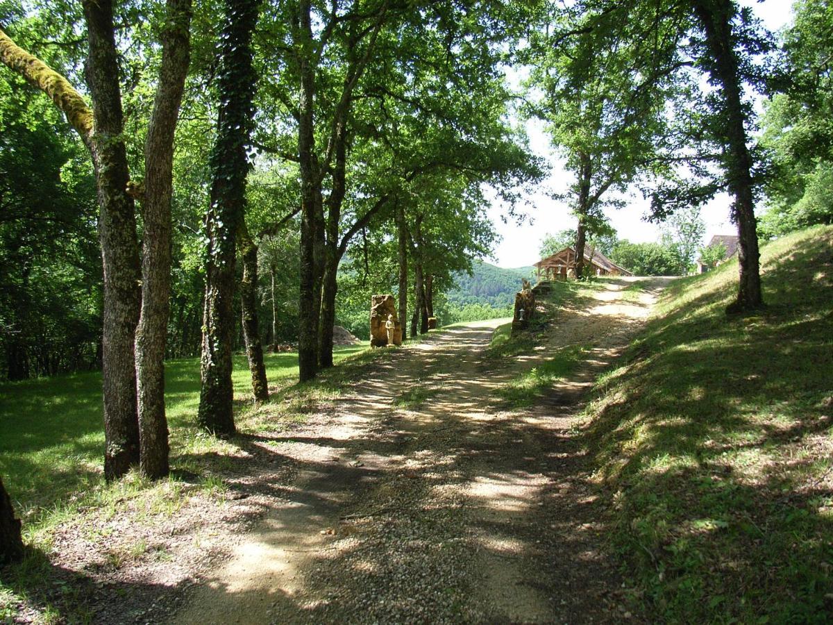 Studio Aux Eyzies Au Coeur De La Vallee De L'Homme Les Eyzies 外观 照片