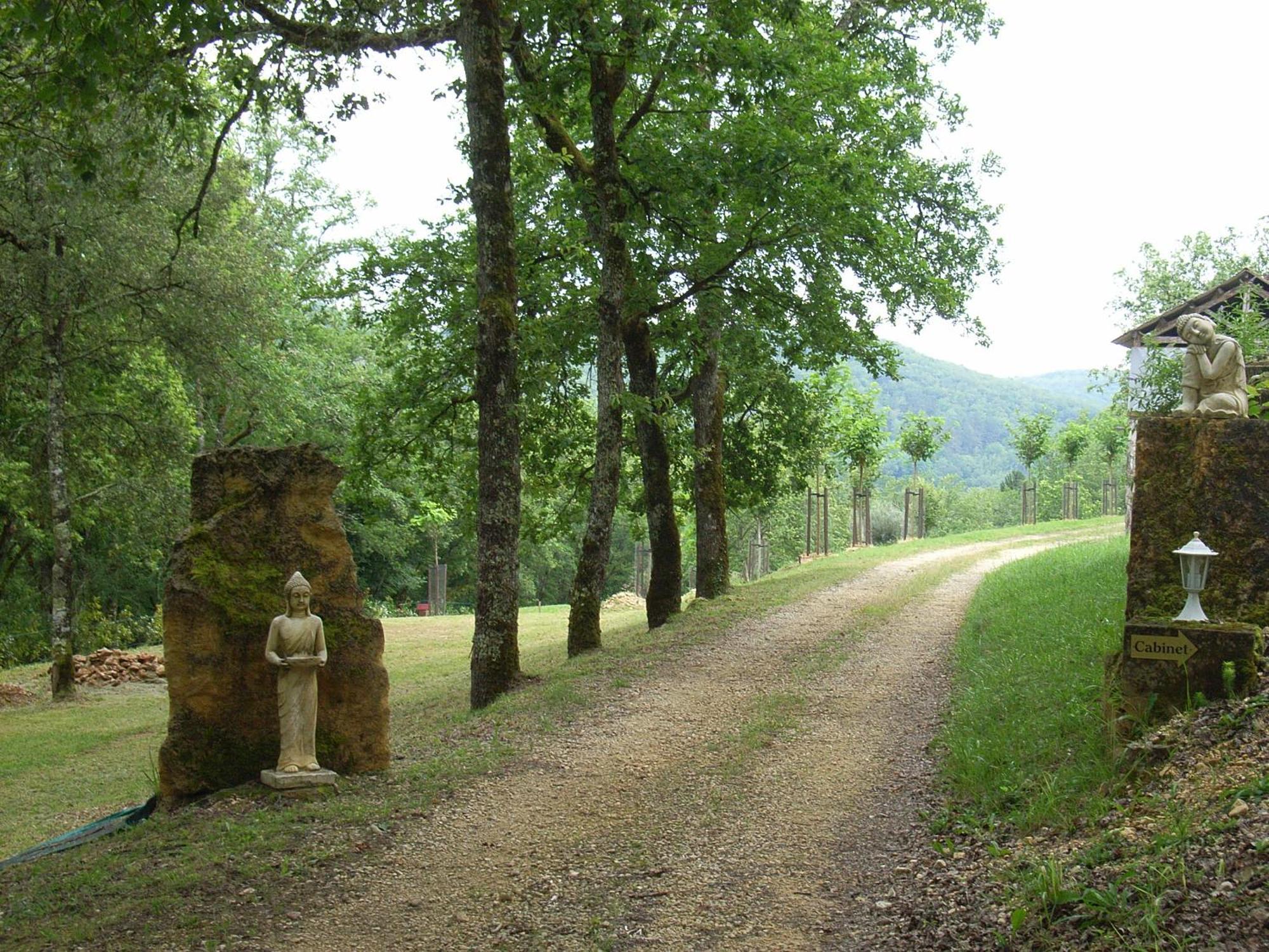 Studio Aux Eyzies Au Coeur De La Vallee De L'Homme Les Eyzies 外观 照片