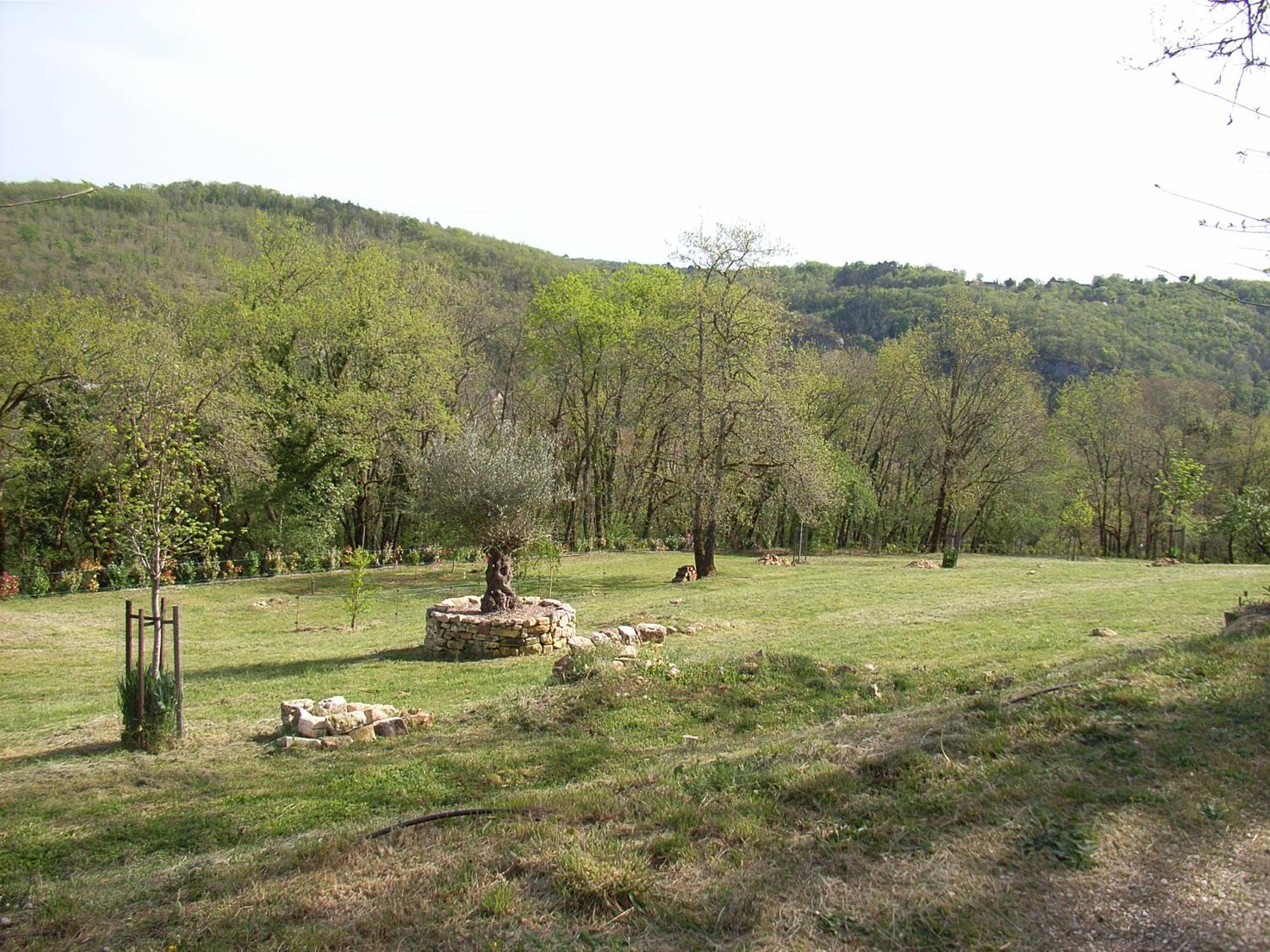 Studio Aux Eyzies Au Coeur De La Vallee De L'Homme Les Eyzies 外观 照片