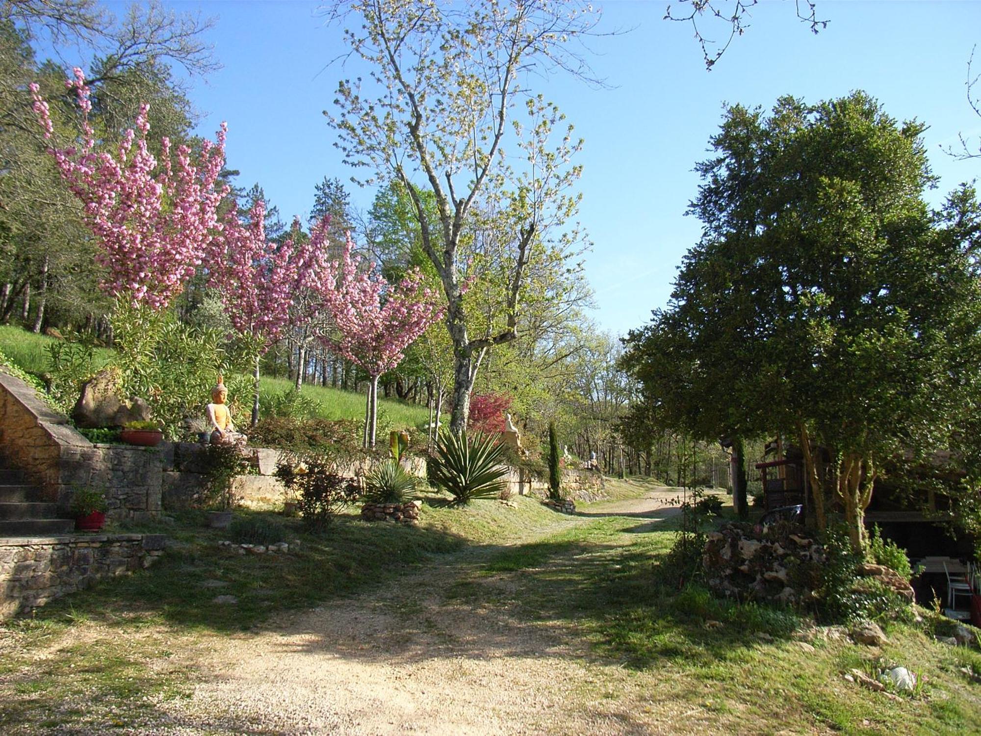 Studio Aux Eyzies Au Coeur De La Vallee De L'Homme Les Eyzies 外观 照片
