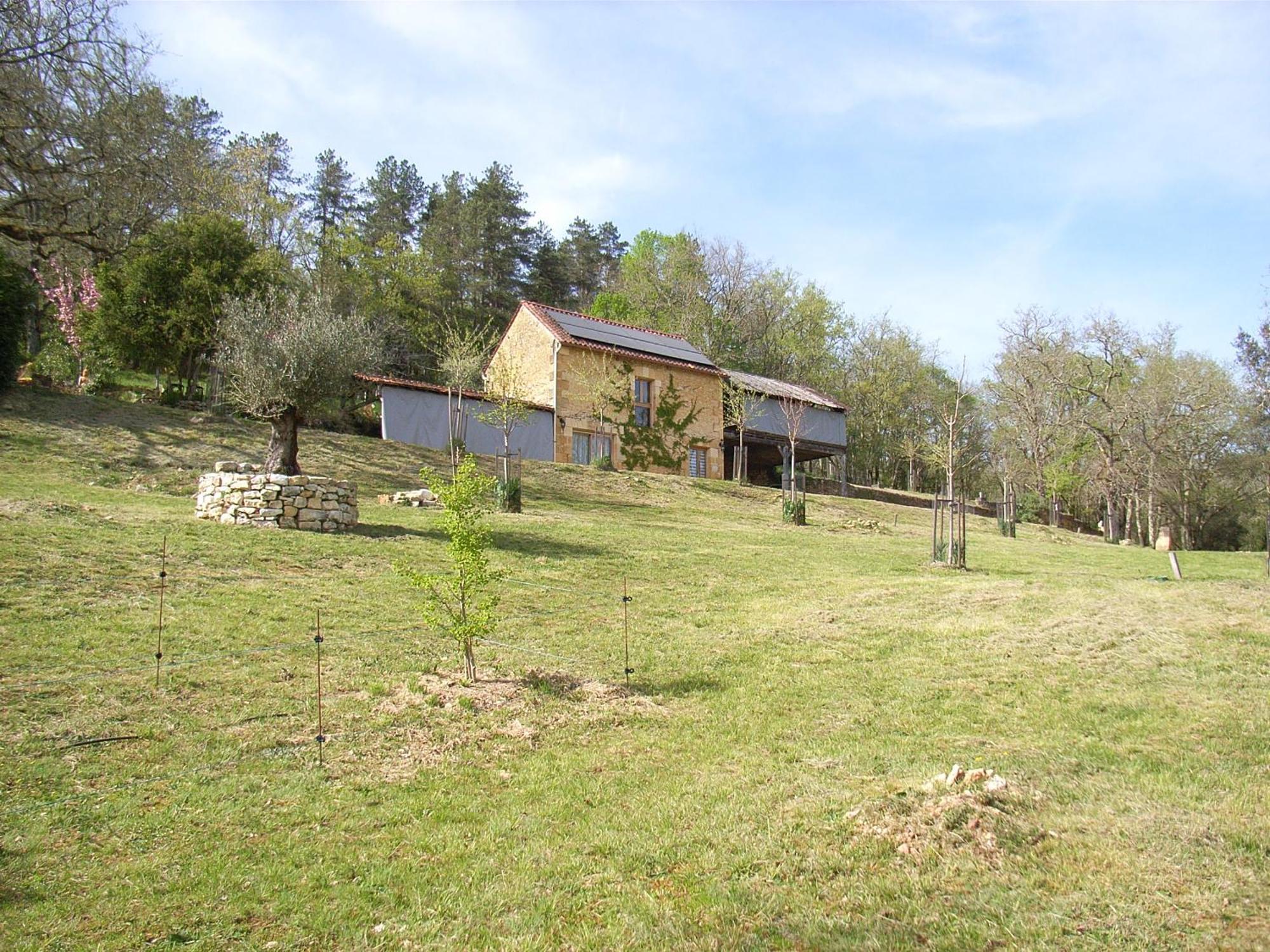 Studio Aux Eyzies Au Coeur De La Vallee De L'Homme Les Eyzies 外观 照片