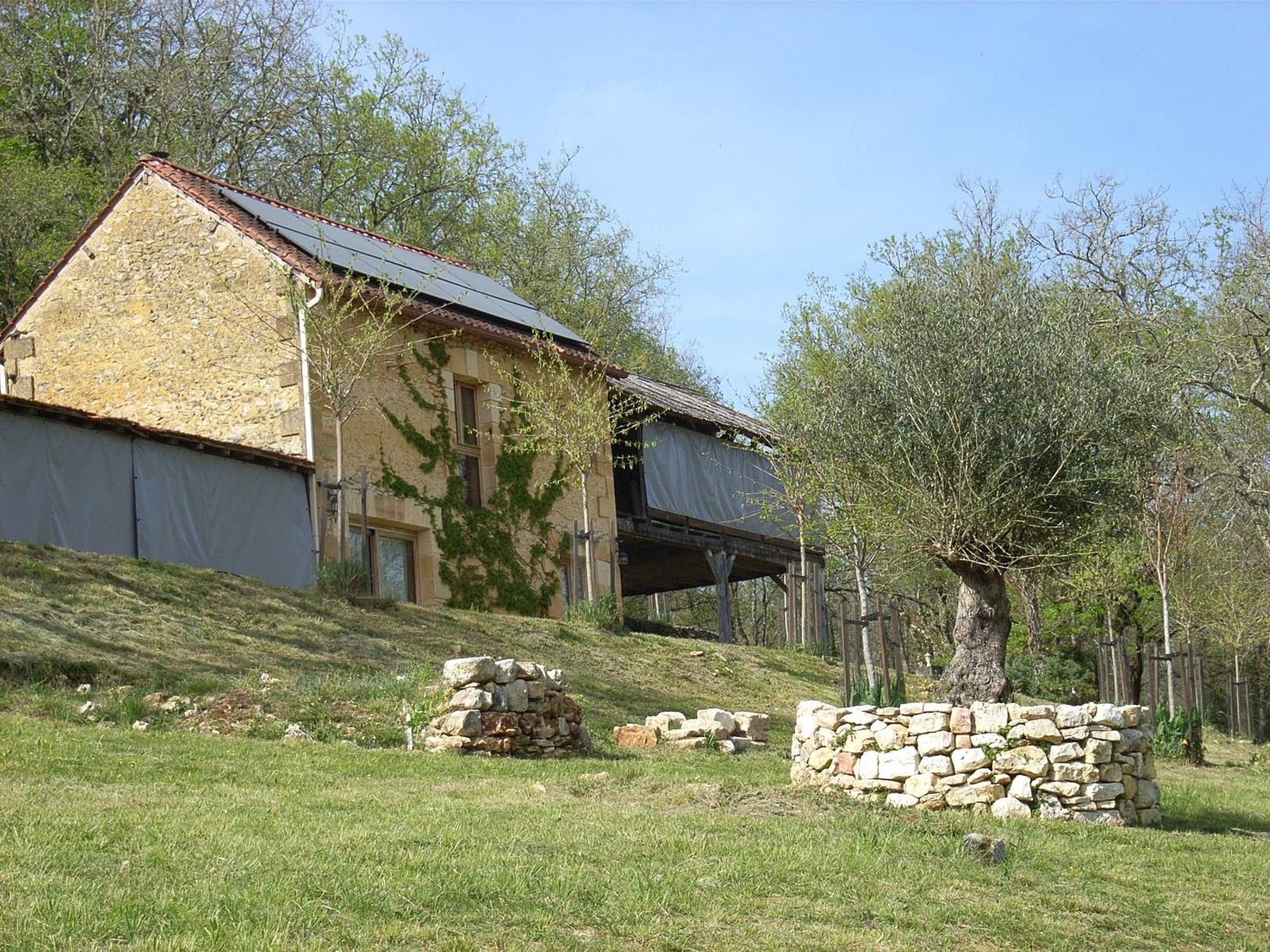 Studio Aux Eyzies Au Coeur De La Vallee De L'Homme Les Eyzies 外观 照片